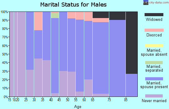 Zip code 49675 marital status for males
