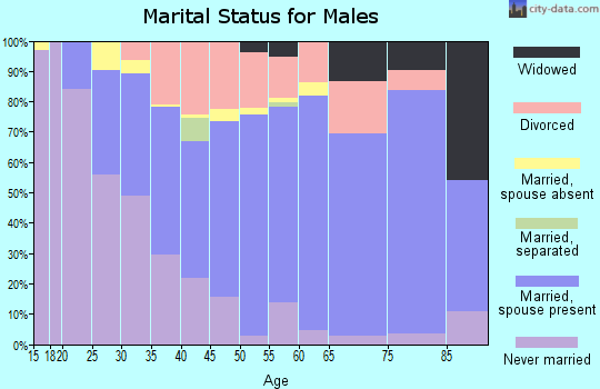 Zip code 49677 marital status for males
