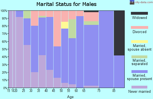 Zip code 49679 marital status for males