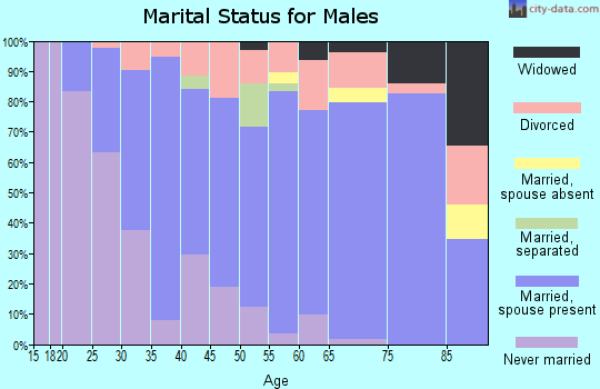 Zip code 49688 marital status for males