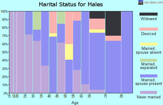 Zip code 49701 marital status for males
