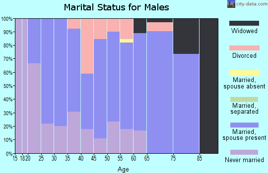 Zip code 49705 marital status for males