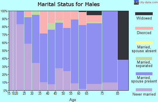 Zip code 49706 marital status for males
