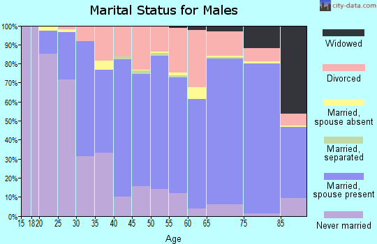 Zip code 49707 marital status for males