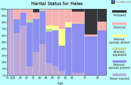Zip code 49709 marital status for males