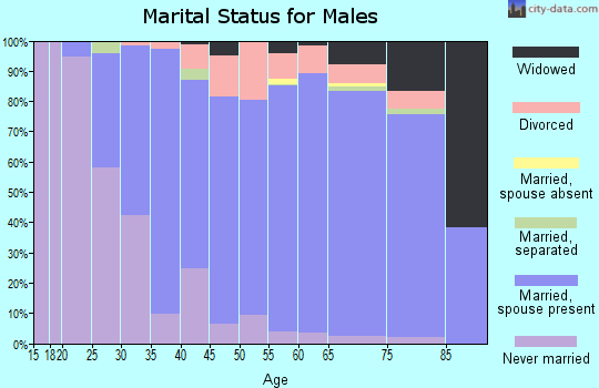 Zip code 49712 marital status for males