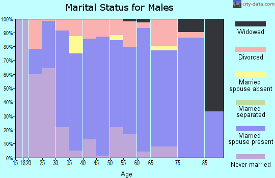 Zip code 49713 marital status for males