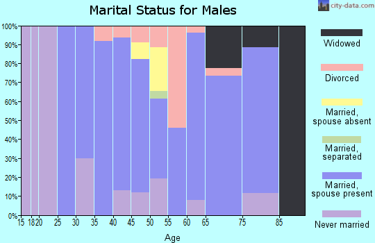 Zip code 49716 marital status for males