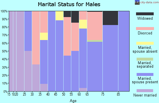 Zip code 49718 marital status for males