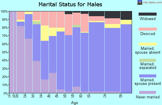 Zip code 49720 marital status for males