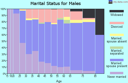 Zip code 49721 marital status for males