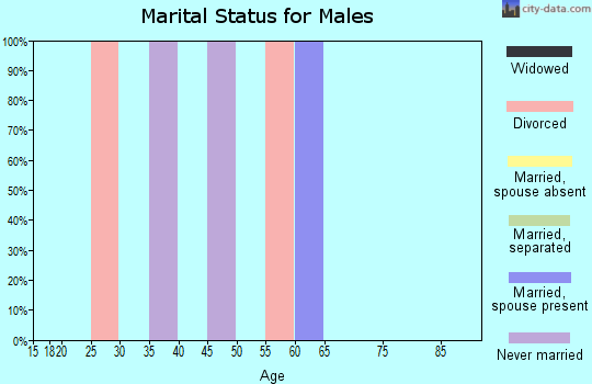 Zip code 49722 marital status for males