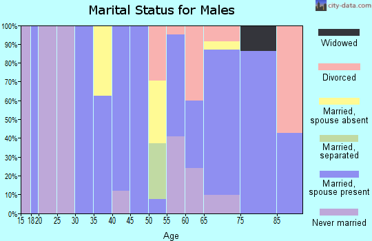 Zip code 49725 marital status for males