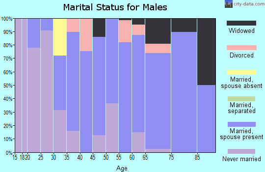 Zip code 49729 marital status for males