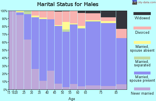 Zip code 49740 marital status for males