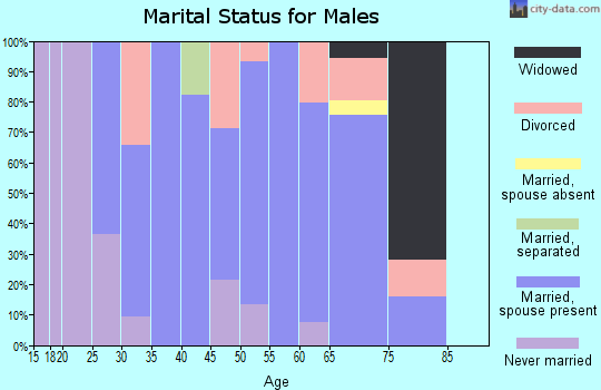 Zip code 49745 marital status for males