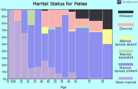 Zip code 49746 marital status for males