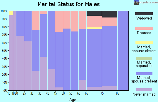 Zip code 49747 marital status for males