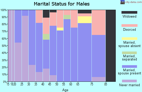 Zip code 49751 marital status for males