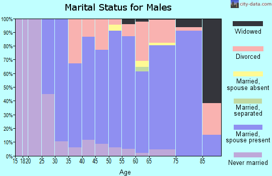 Zip code 49753 marital status for males