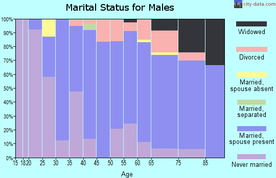 Zip code 49755 marital status for males