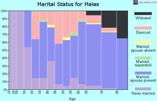 Zip code 49756 marital status for males