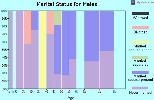 Zip code 49757 marital status for males