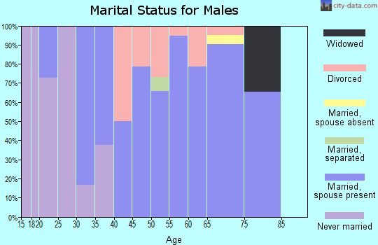 Zip code 49760 marital status for males