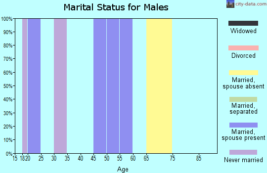Zip code 49764 marital status for males