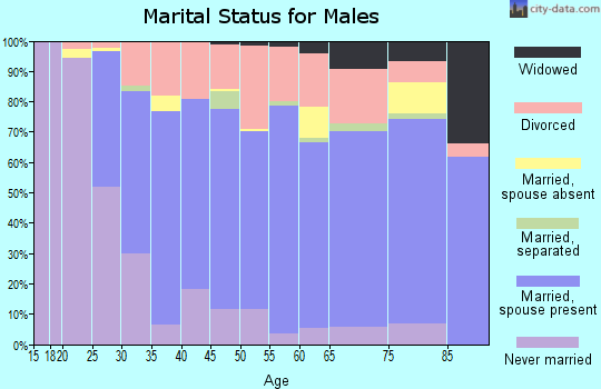 Zip code 49765 marital status for males