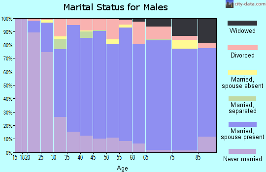 Zip code 49770 marital status for males