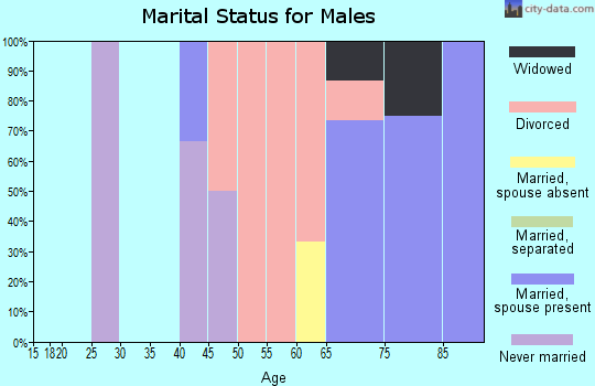 Zip code 49775 marital status for males