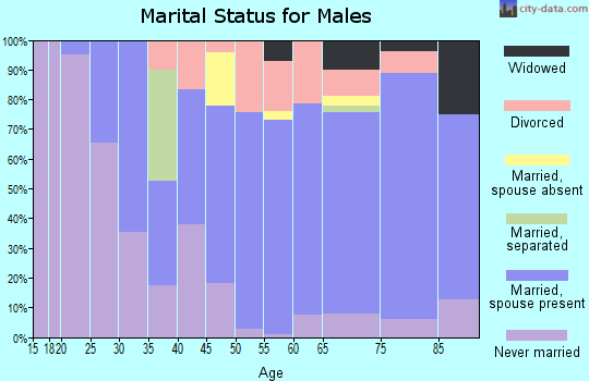 Zip code 49776 marital status for males