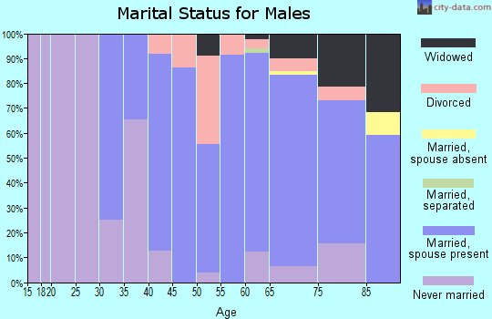 Zip code 49777 marital status for males