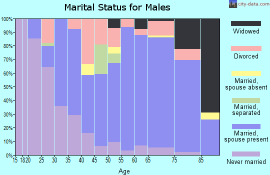 Zip code 49779 marital status for males