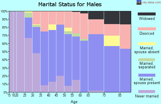 Zip code 49781 marital status for males