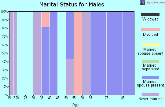 Zip code 49791 marital status for males