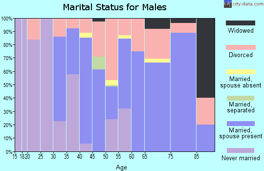 Zip code 49795 marital status for males