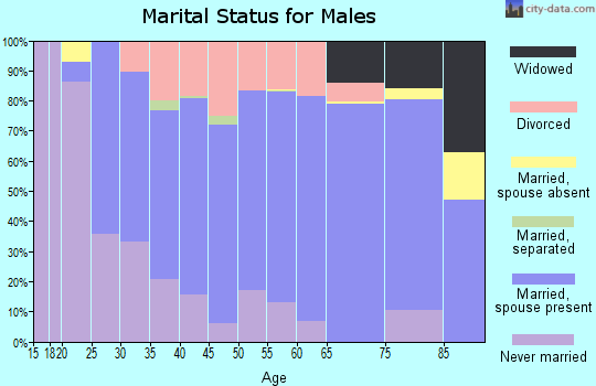 Zip code 49801 marital status for males