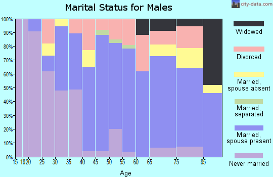 Zip code 49802 marital status for males
