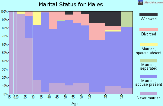 Zip code 49807 marital status for males