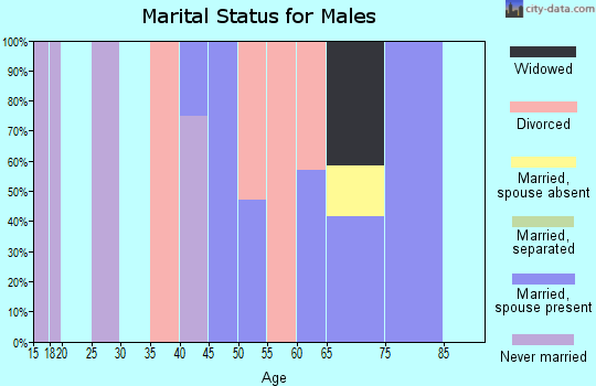 Zip code 49808 marital status for males