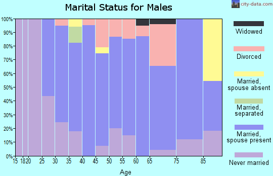 Zip code 49812 marital status for males