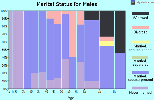 Zip code 49836 marital status for males