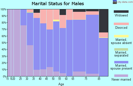 Zip code 49837 marital status for males