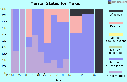 Zip code 49840 marital status for males