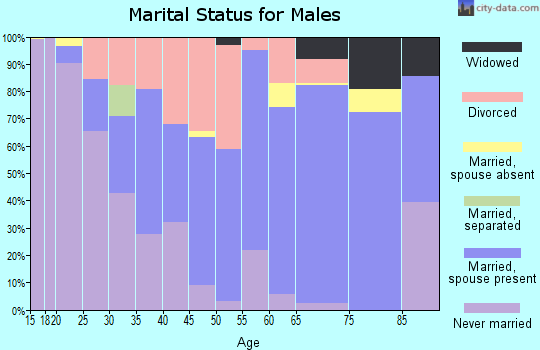 Zip code 49841 marital status for males
