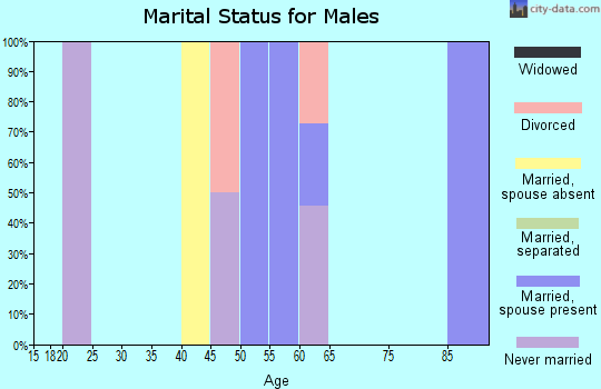 Zip code 49848 marital status for males