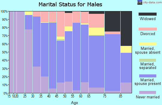 Zip code 49849 marital status for males