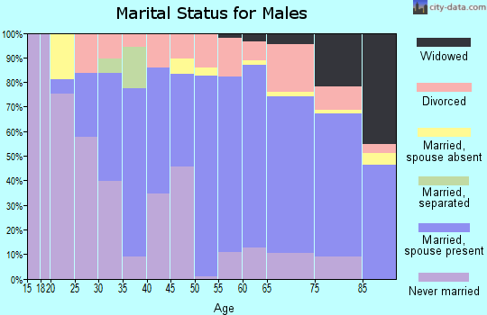 Zip code 49854 marital status for males